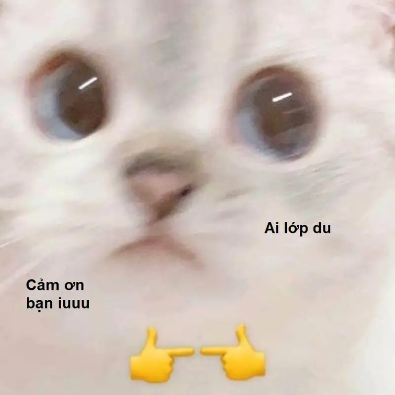 Thank you for listening meme giúp bạn thể hiện sự cảm kích Thank you for listening meme giúp bạn thể hiện sự cảm kích