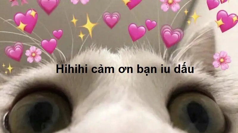 Thanks for watching meme giúp bạn thể hiện lòng biết ơn Thanks for watching meme giúp bạn thể hiện lòng biết ơn