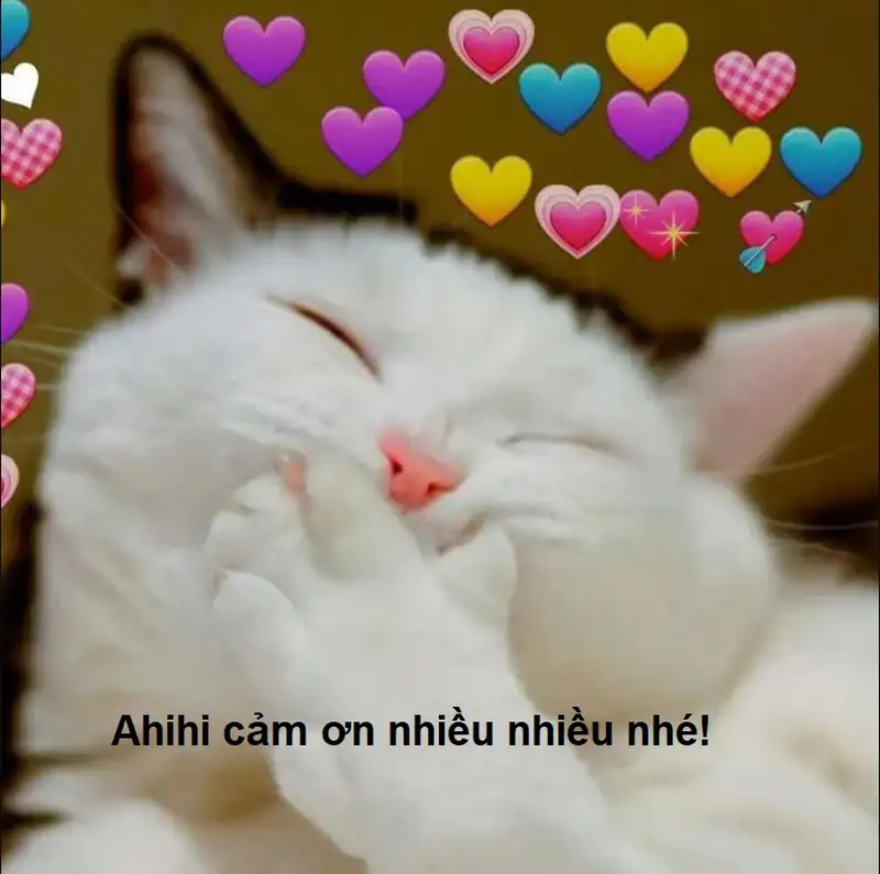 Meme cảm ơn dễ thương khiến bạn không thể nhịn cười Meme cảm ơn dễ thương khiến bạn không thể nhịn cười