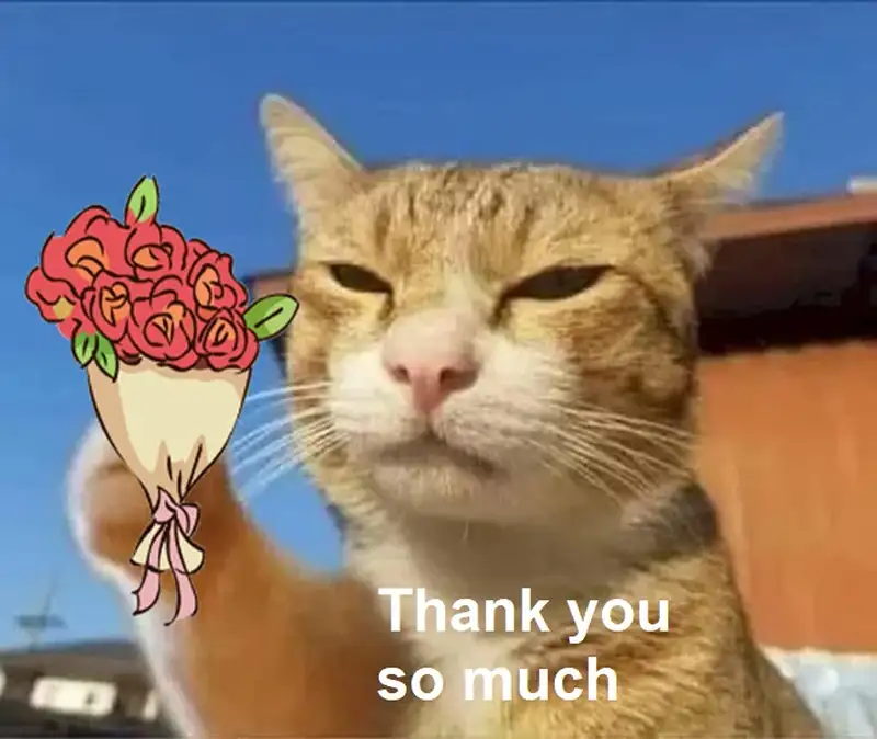 Cảm ơn vì đã xem meme dễ thương cho những ai yêu thích Cảm ơn vì đã xem meme dễ thương cho những ai yêu thích