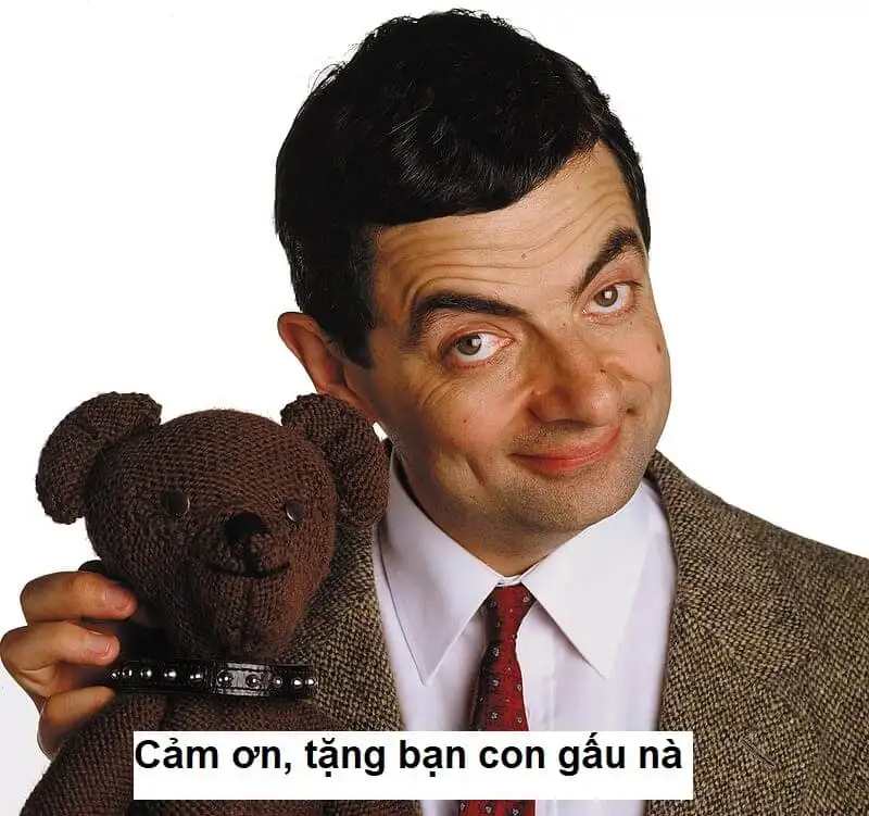 Ảnh meme mèo cảm ơn giúp bạn chia sẻ lòng biết ơn Ảnh meme mèo cảm ơn giúp bạn chia sẻ lòng biết ơn