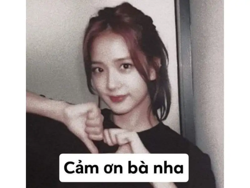 Hình ảnh meme cảm ơn mang lại niềm vui cho người nhận Hình ảnh meme cảm ơn mang lại niềm vui cho người nhận
