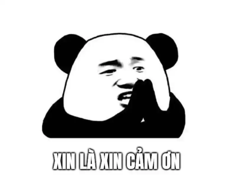 Ảnh meme cảm ơn vì đã xem giúp bạn thể hiện lòng biết ơn Ảnh meme cảm ơn vì đã xem giúp bạn thể hiện lòng biết ơn