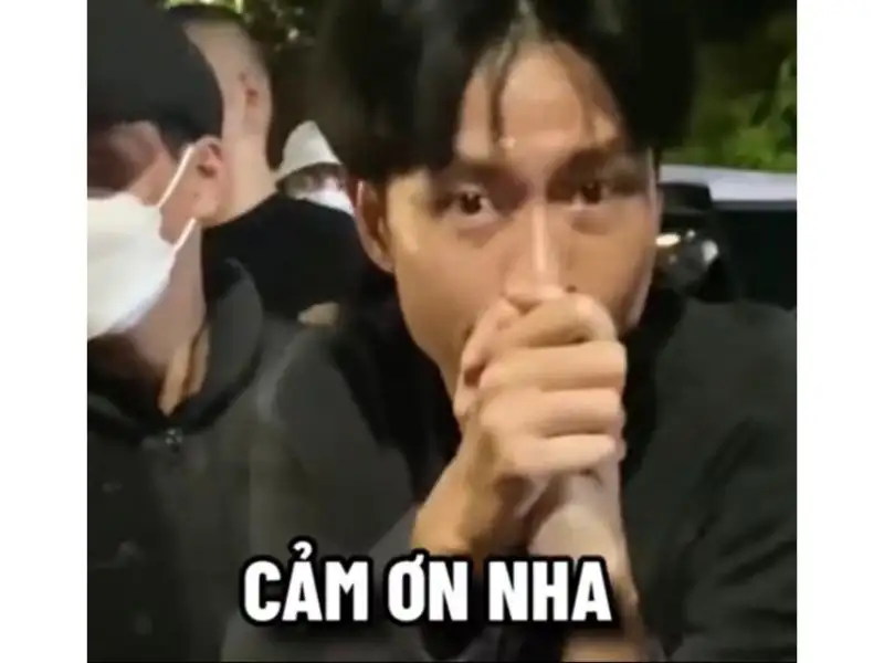Meme quỳ lạy cảm ơn giúp bạn thể hiện lòng biết ơn một cách hài hước Meme quỳ lạy cảm ơn giúp bạn thể hiện lòng biết ơn một cách hài hước