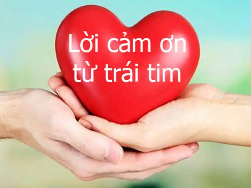 Rất tuyệt vời xin cảm ơn meme dễ thương cho những ai yêu thích Rất tuyệt vời xin cảm ơn meme dễ thương cho những ai yêu thích
