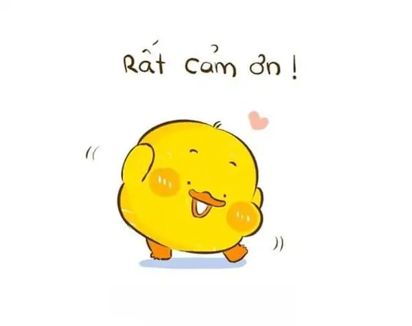 Thank you meme cảm ơn giúp bạn thể hiện lòng biết ơn Thank you meme cảm ơn giúp bạn thể hiện lòng biết ơn