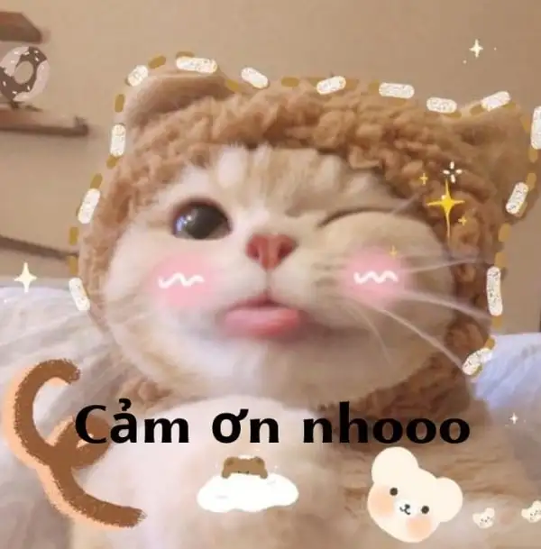 Cảm ơn cô và các bạn đã lắng nghe bài thuyết trình meme giúp bạn thể hiện lòng biết ơn Cảm ơn cô và các bạn đã lắng nghe bài thuyết trình meme giúp bạn thể hiện lòng biết ơn