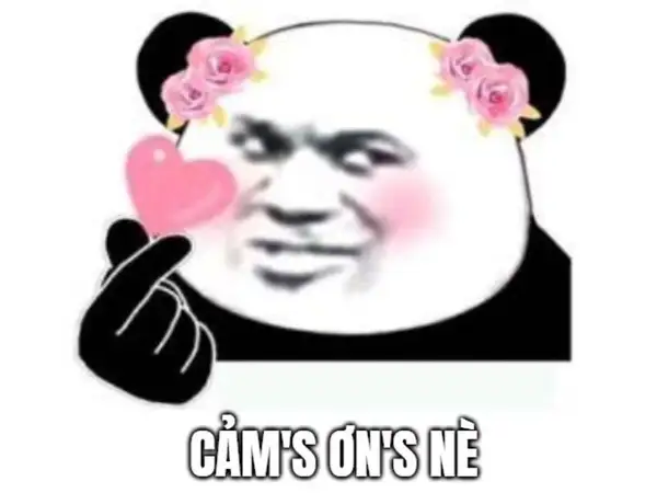 Hình meme cảm ơn giúp bạn chia sẻ lòng biết ơn một cách sáng tạo Hình meme cảm ơn giúp bạn chia sẻ lòng biết ơn một cách sáng tạo