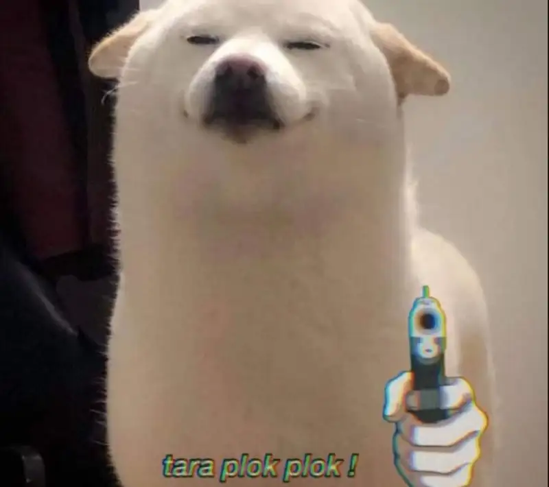 Meme chó shiba cơ bắp dễ thương cho những ai yêu thích Meme chó shiba cơ bắp dễ thương cho những ai yêu thích