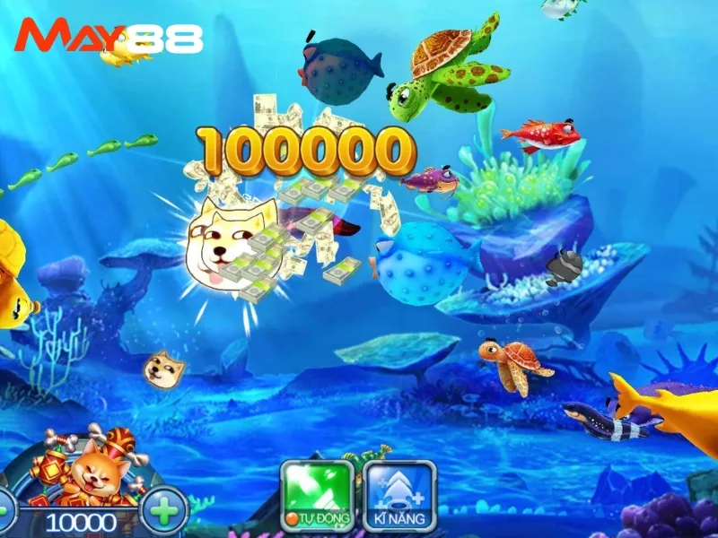 Giới thiệu về bắn cá tại May88