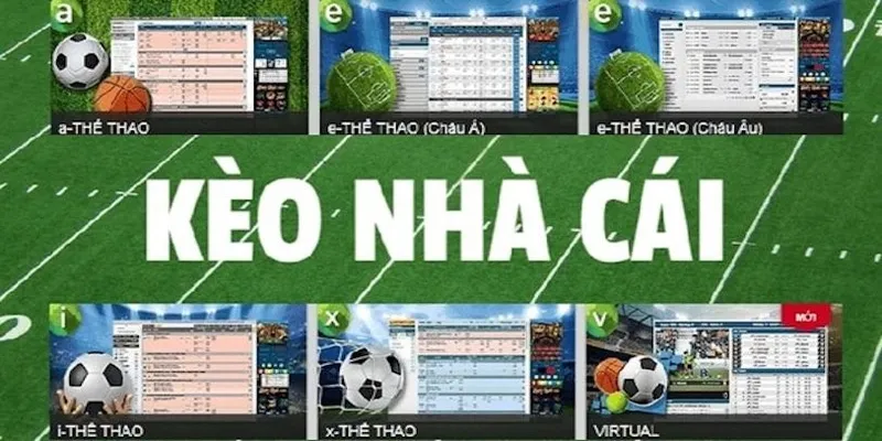 Liệt kê các tiêu chí để xác định tỷ lệ kèo nhà cái đáng tin cậy Liệt kê các tiêu chí để xác định tỷ lệ kèo nhà cái đáng tin cậy