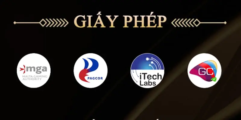 Giới thiệu nhà cái cá cược hàng đầu 98WIN Giới thiệu nhà cái cá cược hàng đầu 98WIN