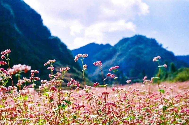 Phông nền cảnh biển tuyệt đẹp giúp bạn tạo không gian sống động Phông nền cảnh biển tuyệt đẹp giúp bạn tạo không gian sống động