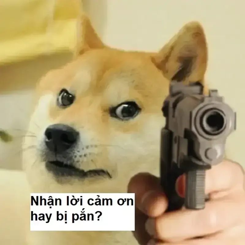 Ảnh meme thank you giúp bạn thể hiện sự cảm ơn một cách sáng tạo