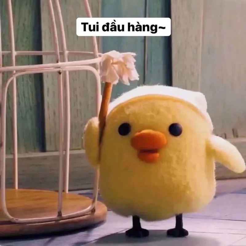 Meme vịt donald mang đến sự hài hước cho những ai yêu thích hoạt hình