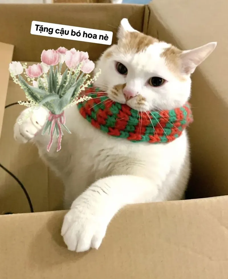 Meme tặng tim mang đến sự dễ thương cho những ai yêu thích tình yêu