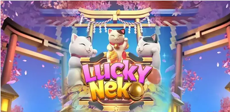 Lucky Neko - Chú mèo may mắn