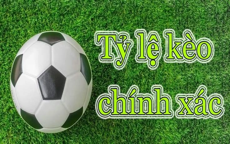 Công Cụ Hỗ Trợ Soi Kèo Hiệu Quả Bet Thủ Không Thể Bỏ Qua