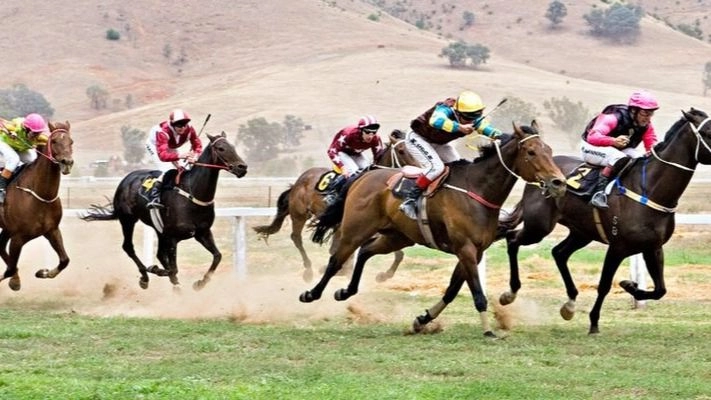 Giới thiệu chi tiết về sân chơi đua ngựa online tại HB88