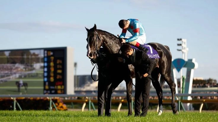 Mẹo chơi đua ngựa online cực đỉnh đến từ HB88