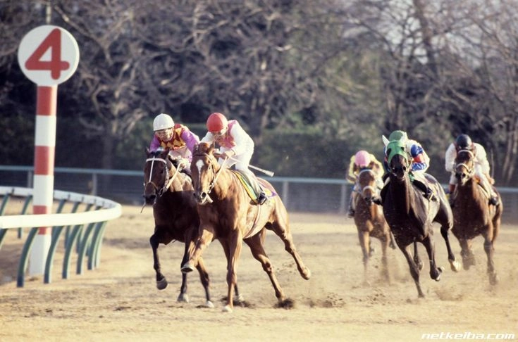 Nhiều cửa cược đua ngựa online đến từ sân chơi HB88