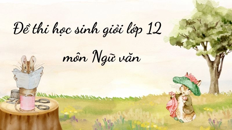 Đề thi học sinh giỏi lớp 12 môn văn