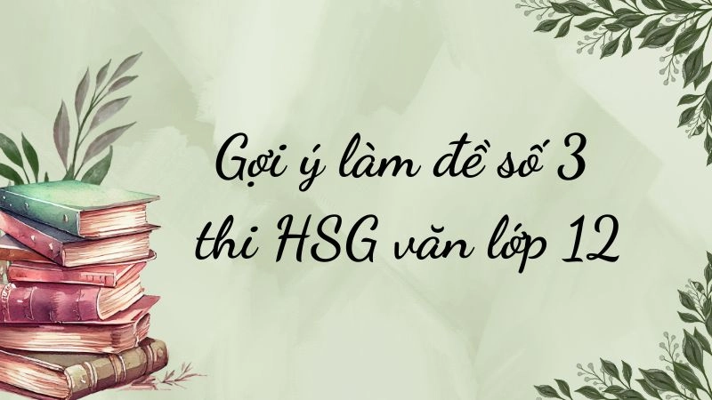 Gợi ý làm đề số 3 thi HSG văn lớp 12