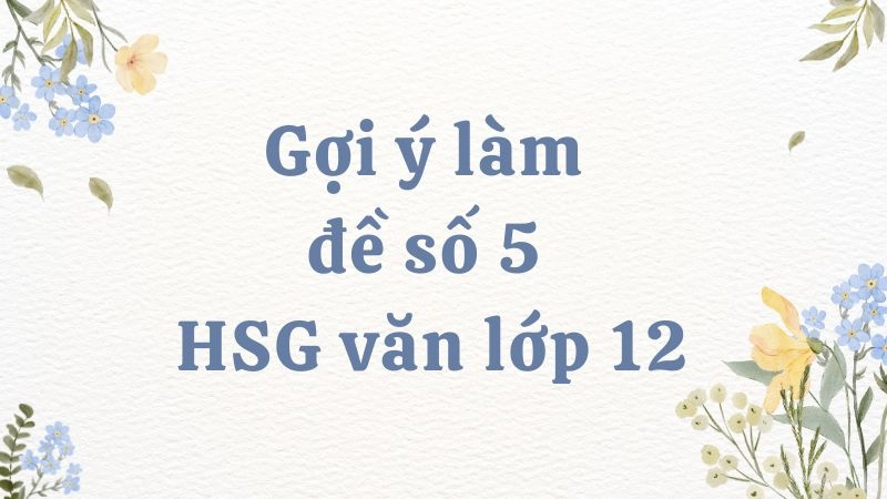 Gợi ý làm đề số 5 HSG văn lớp 12