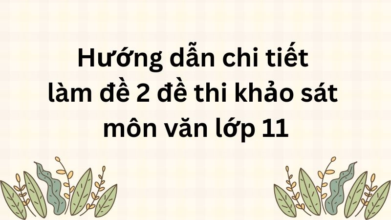 Hướng dẫn chi tiết làm đề 2 đề thi khảo sát môn văn lớp 11