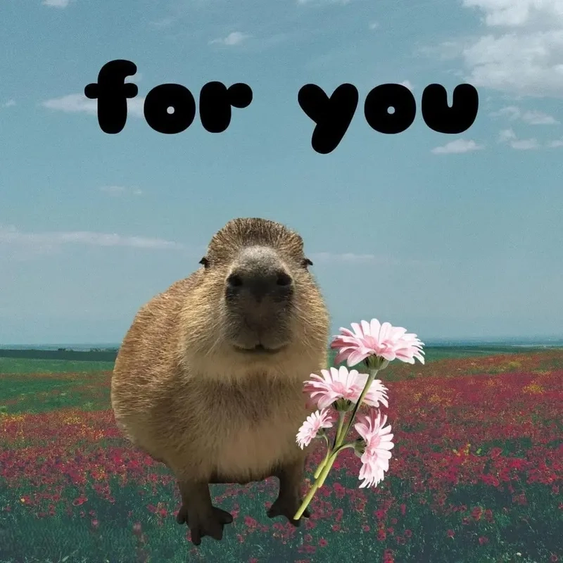 Avatar ảnh capybara chibi cute thần thái ngộ nghĩnh 