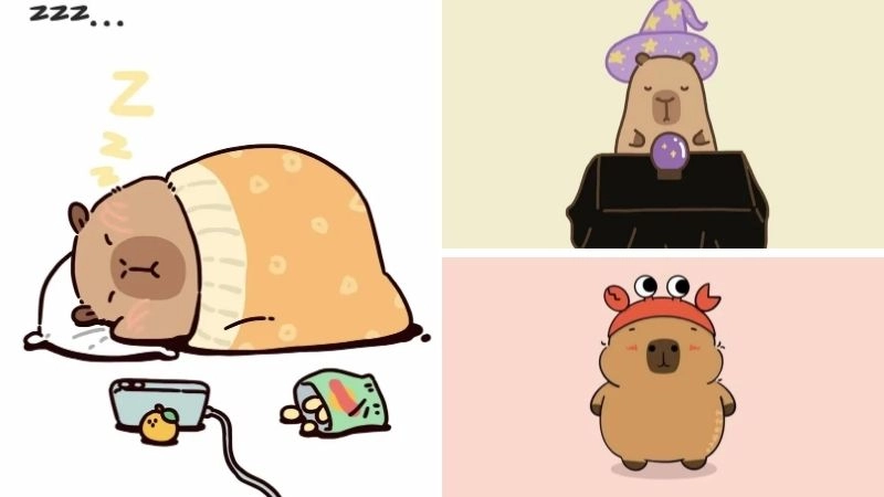 Ý nghĩa về cute chibi capybara sâu sắc
