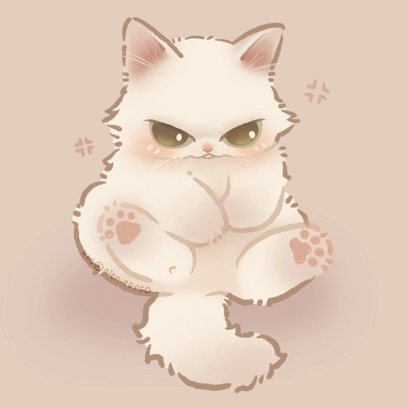 Avatar cute mèo chibi thần thái ngộ nghĩnh kawaii 