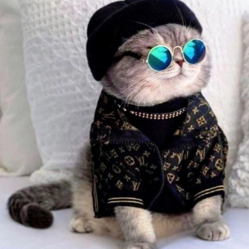Avatar cute mèo chibi mập đôi nét vẽ ngộ nghĩnh 
