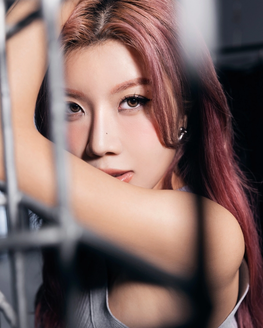 Album Trang Pháp đa dạng về thể loại và phong cách âm nhạc