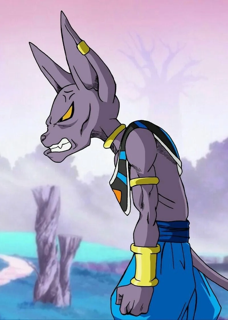 Hình tượng Beerus Sama Mèo khiến fan vừa sợ vừa yêu