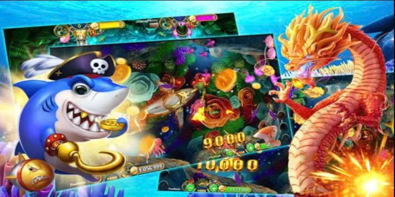 Cộng đồng cược thủ sôi nổi