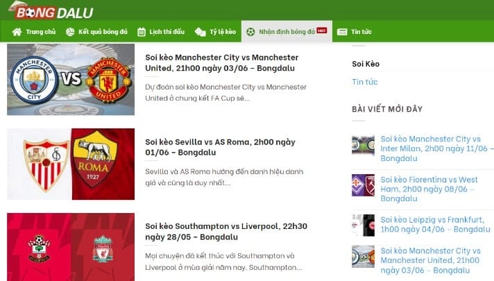 Phân Tích Chuyên Sâu về Kết Quả Các Giải Đấu Bóng Đá tại bongdalu