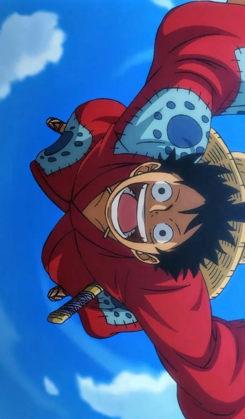 Tên thật đầy đủ của anh hùng là Luffy Monkey D Luffy