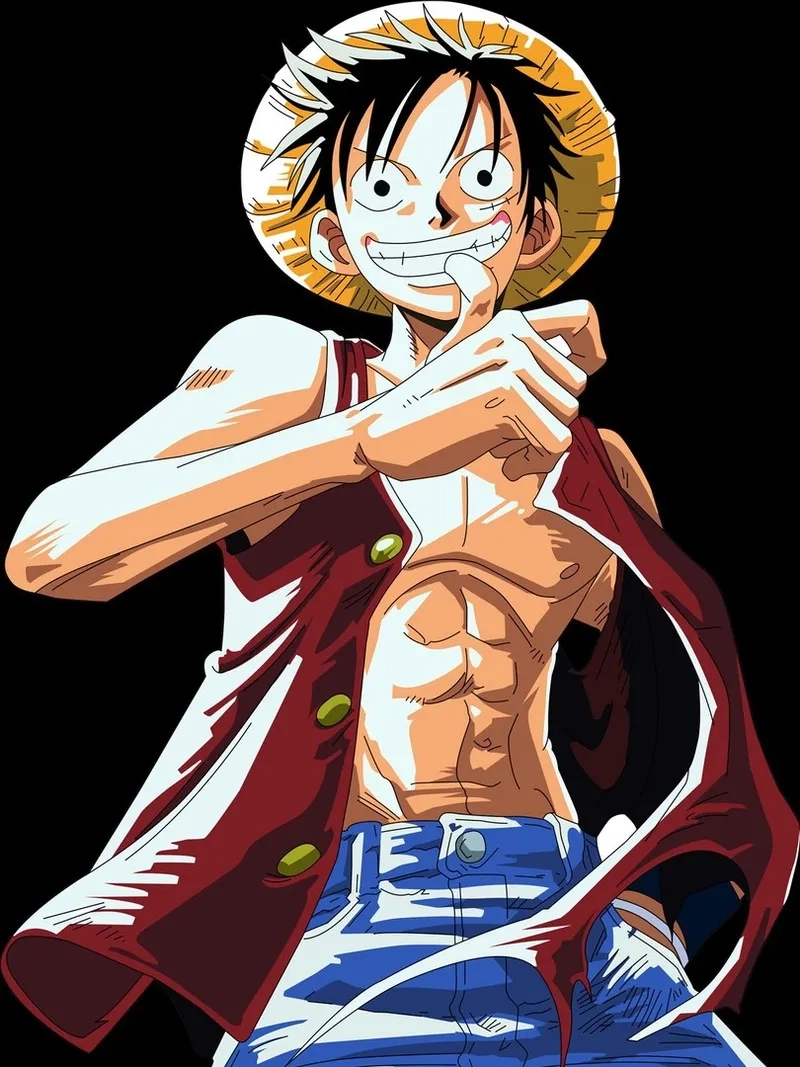 Biểu tượng không thể thiếu của Mũ rơm Luffy