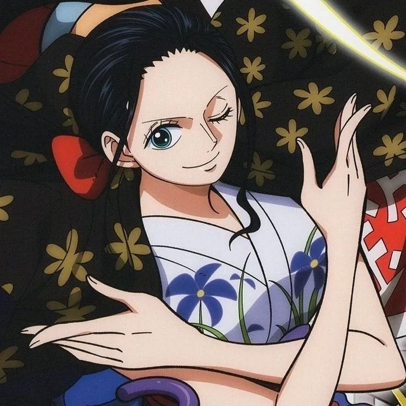 Câu hỏi phổ biến từ fan quốc tế How old is Nico Robin