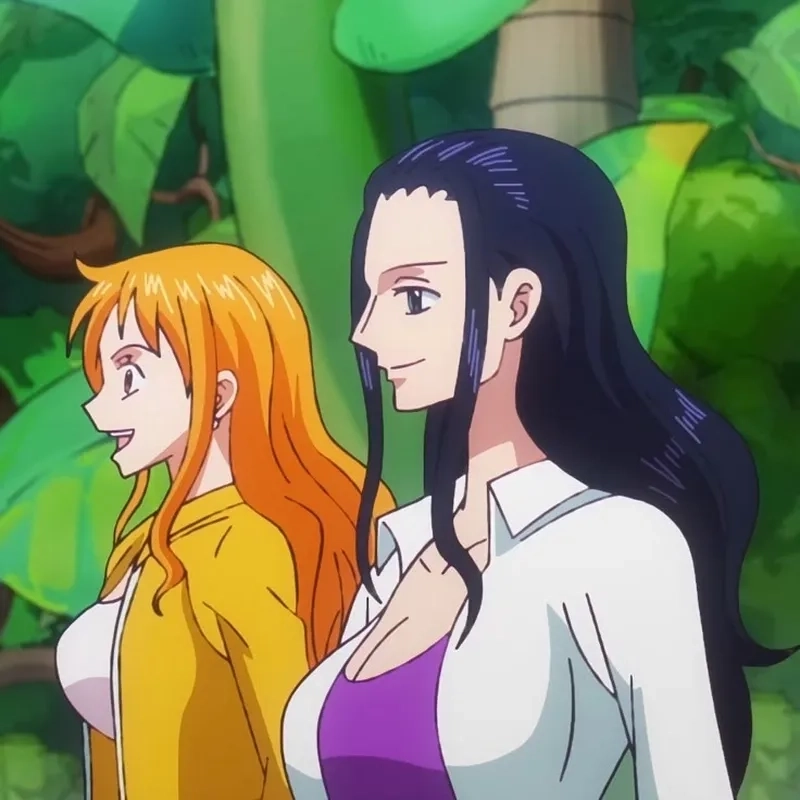 Hai nữ thần trí tuệ và quyến rũ Nami and Nico Robin