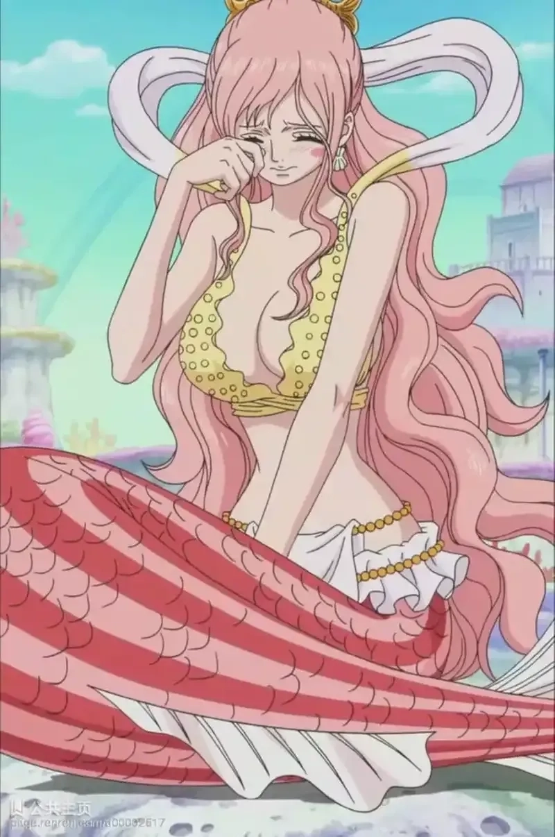 Tình bạn đặc biệt giữa Shirahoshi X Luffy làm tan chảy trái tim fan