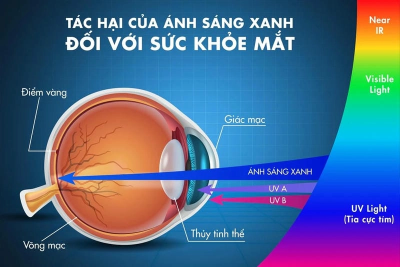  Ánh sáng xanh từ màn hình làm rối loạn giấc ngủ.