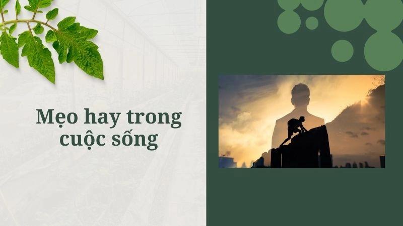Mẹo hay trong cuộc sống