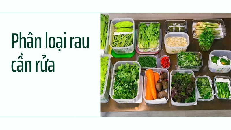 Phân loại rau cần rửa trước và sau khi bảo quản