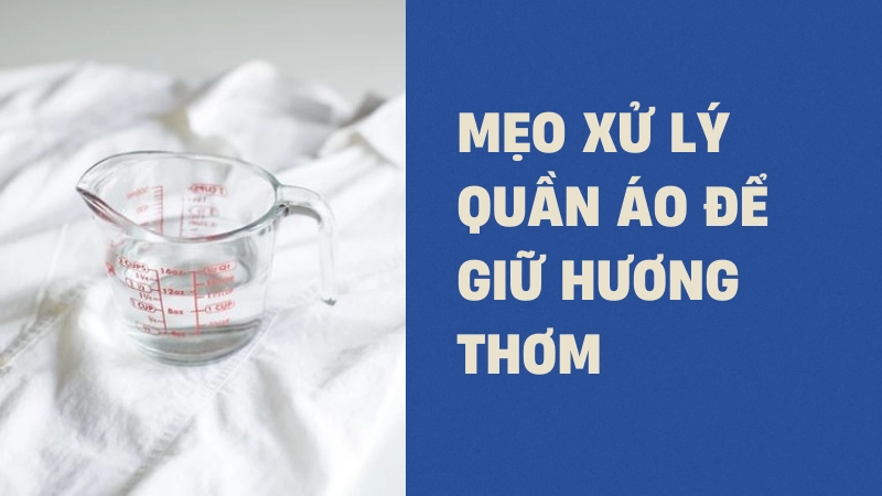 Ngâm quần áo với giấm trắng giúp khử mùi hôi và làm mềm vải hiệu quả