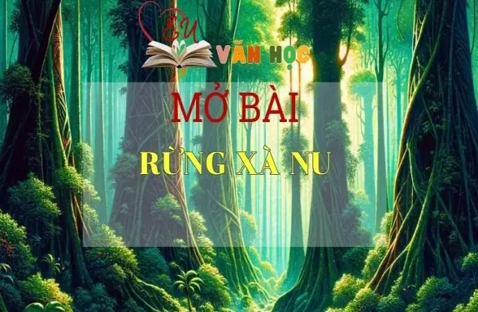 Top 10 mẫu mở bài Rừng Xà Nu ghi điểm cao trong các kì thi