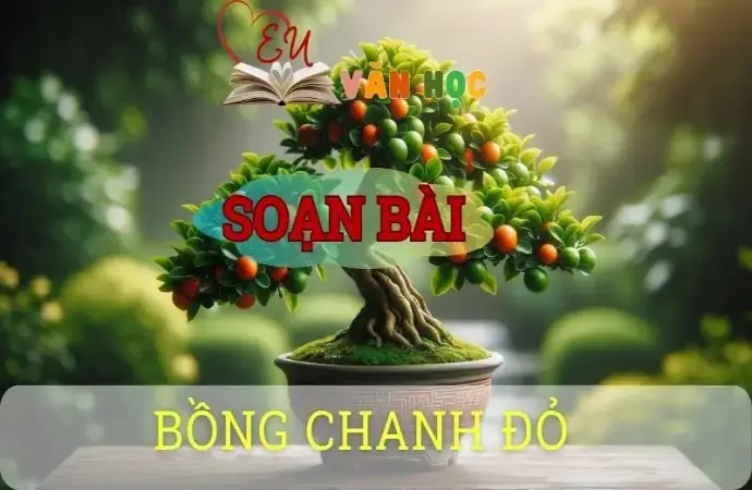 Soạn bài Bồng chanh đỏ - ngữ văn 8 tập 2 - sách Chân trời sáng tạo