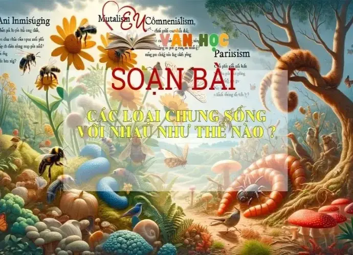 Soạn bài Các loài chung sống với nhau như thế nào -Ngữ văn 6  Kết nối tri thức