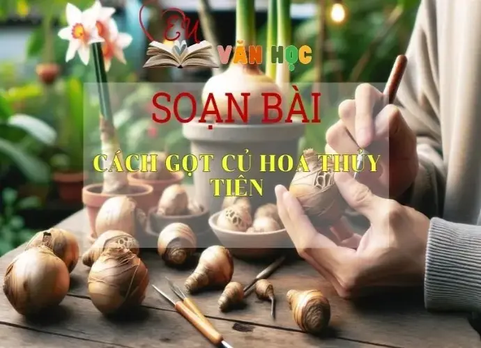 Soạn bài Cách gọt củ hoa thủy tiên - Sách Chân trời sáng tạo lớp 7